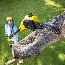 Best Weed Control  in Pageland, SC